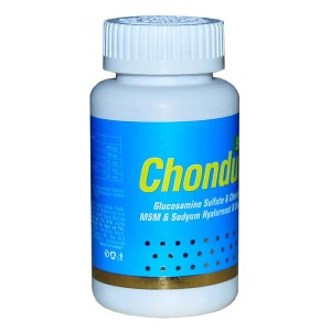 Glucosamine Chondroitin MSM 90 Tablet