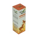 Yabani İğde Yağı 20 ML